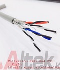 Hình ảnh: Cáp tín hiệu âm thanh 18AWG 1 Pair Altek Kabel chính hãng