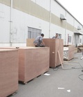 Hình ảnh: Đóng kiện gỗ máy móc xuất khẩu đi Châu Âu giá rẻ