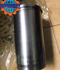 Hình ảnh: Xy lanh động cơ OM460