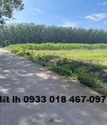 Hình ảnh: Cần bán đất chơn thành, bình phước 350tr ngân hàng hỗ trợ 50%. Gọi ngay 0933 018 467 0978 787 009 2