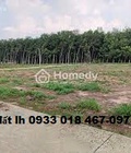 Hình ảnh: Cần bán đất ấp hưng thủy, xã lộc thịnh 350tr ngân hàng hỗ trợ 50%. Gọi ngay 0933 018 467 0978 787 009 16
