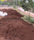 Hình ảnh: Cung cấp đất màu trồng cây ở HCM, Đồng Nai, Bình Dương