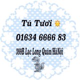 Avatar shop: tutuoi