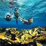 Avatar shop: trucquynhnt