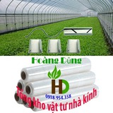 Avatar shop: hoangdunggreen1