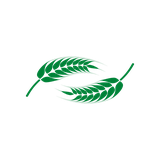 Avatar shop: granolahealthy2023