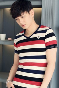 Áo thun Hàn Quốc cao cấp JAK0070