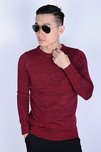 Áo len nam thời trang hàn quốc 890 02000020120