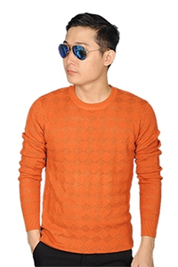 Áo len nam L120
