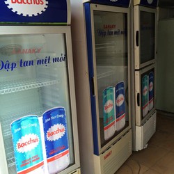 Cho Thuê Tủ Mát Tại Hà Nội