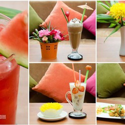  máy làm kem gia đình, máy lam kem bằng hoa quả, 