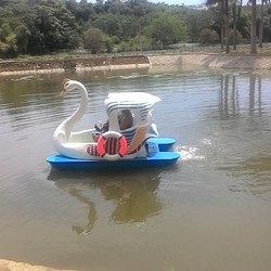 Vịt đạp nước, thiên nga đạp nước, Hồ câu cá nhựa , đồ chơi công viên nước