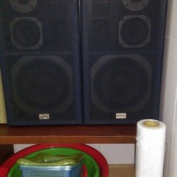 Loa Diatone DS 32B không thể mới hơn.