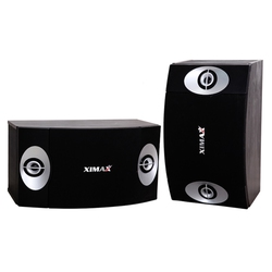 Loa treo tường XIMAX A3017