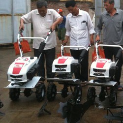 Nhà cung cấp máy xới đất trâu vàng, máy cày trâu vàng 1WG4 rẻ nhất