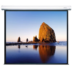 Bán màn chiếu treo tường Dalite 100 inch giá rẻ tại TP Hồ Chí Minh