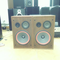 Loa mỹ cerwin vega R123 bass 30,loa dcm,loa jbl 4800,jbl 3900 usa