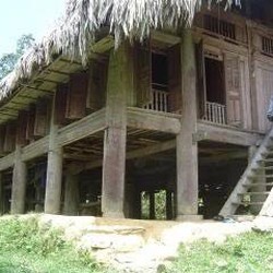 Bán nhà sàn tại hoà bình