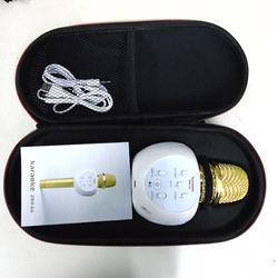 Micro kèm loa hát karaoke ZBX-66