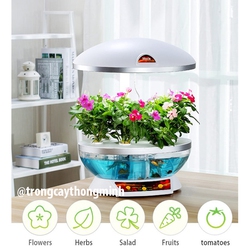 Hệ thống trồng cây thông minh để bàn KJ-5500
