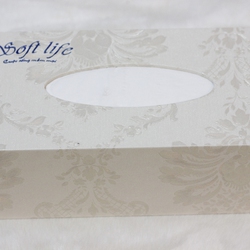 Hộp khăn giấy lụa Soft Life HKM03