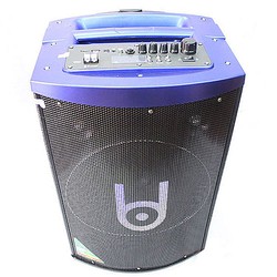 Loa hát karaoke BD H127YS, 2 mic set được tần số