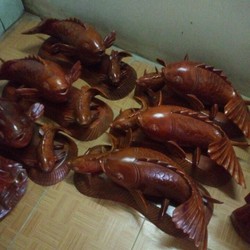 Cá chép dài 60 gỗ xà cừ