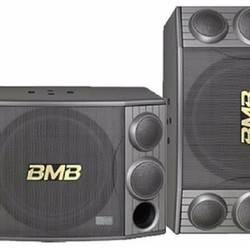 Loa karaoke BMB csx 1000 giá chỉ 2tr500k