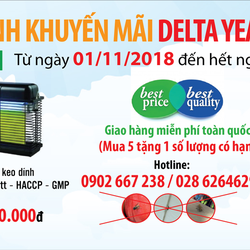 Delta Year End Promotion 2018