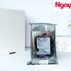 Ổ cứng chuyên dụng cho các thiết bị giám sát