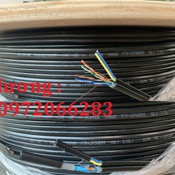 Cáp mạng liền nguồn Cat5e FTP 2C lõi đồng ngoài trời TE KRONE