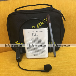 Máy trợ giảng không dây Hàn Quốc ESFOR ES630 UHF chính hãng