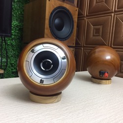 Loa Trép PIONEER P8801 Vỏ Ngoài Tre