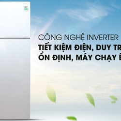 Tủ lạnh Hitachi Inverter 290 lít R H350PGV4