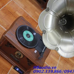 Đầu đia than, loa kèn