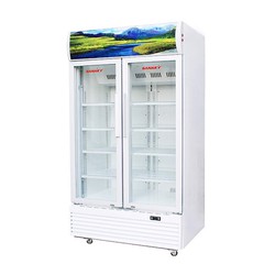 Tủ mát Sanaky VH 1009HP Giá hơn 22 triệu