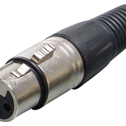 Jack canon cái SUNRISE EXACT srexact svp556s pg