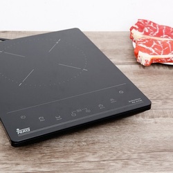 Bếp từ Teka FIC 31T30
