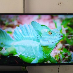 Bán tivi LG smart 49inch hình ảnh 4K