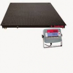 Cân sàn điện tủ công nghiệp T31P Ohaus, mức tải 500kg,1t,2t,3t,5t