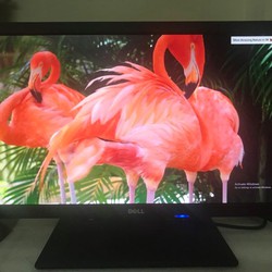 màn hình máy tính Dell 22inch đẹp như mới giá siêu rẻ