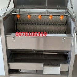 Máy rửa rau, máy rửa củ cải, máy rửa khoai lang, máy rửa củ cà rốt, máy rửa chà vỏ khoai lang