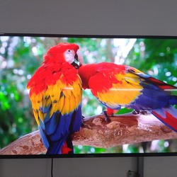 Bán Tivi Samsung 43MU6100 4K SmartTV