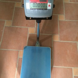 Cân bàn điện tử D24PE Ohaus, cân bàn điện tử Ohaus, mức cân 60kg,150kg,300kg,500kg Ohaus.