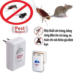 Thiết bị đuổi chuột bằng sóng âm,máy đuổi ruồi,muỗi,kiến,rán hiệu quả,máy đuổi côn trùng nào tốt