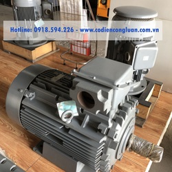 Motor hitachi hàng chính hãng Đại diện hitachi tại Việt Nam