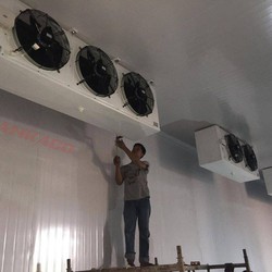 Thi công lắp đặt kho lạnh trữ củ ly tại Đà Lạt Lâm Đồng liên hệ ngay 0947459479