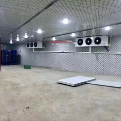 Chuyên thi công kho lạnh bảo quản hạt lúa giống ở Long An lắp đặt bởi ANKACO