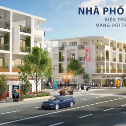 Dự án tnr amaluna trà vinh