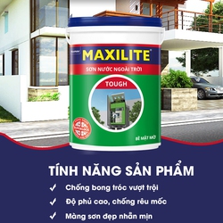 Giá 1 thùng Sơn ngoại thất Maxilite Tough Bóng Mờ 5L bao nhiêu